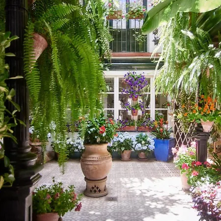 Terraza De La Axerquia Kordoba