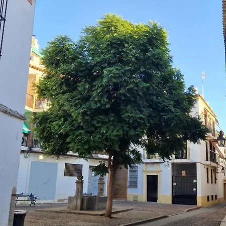 Apartamento Terraza De La Axerquía