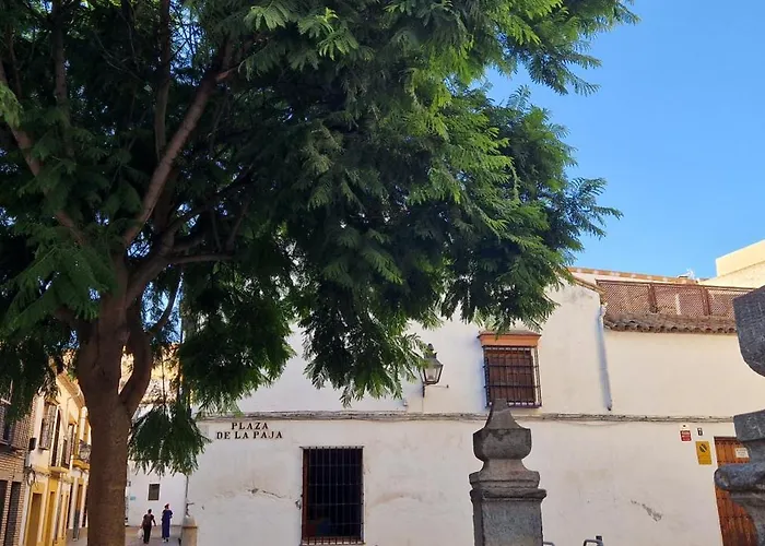 Terraza De La Axerquia Appartement