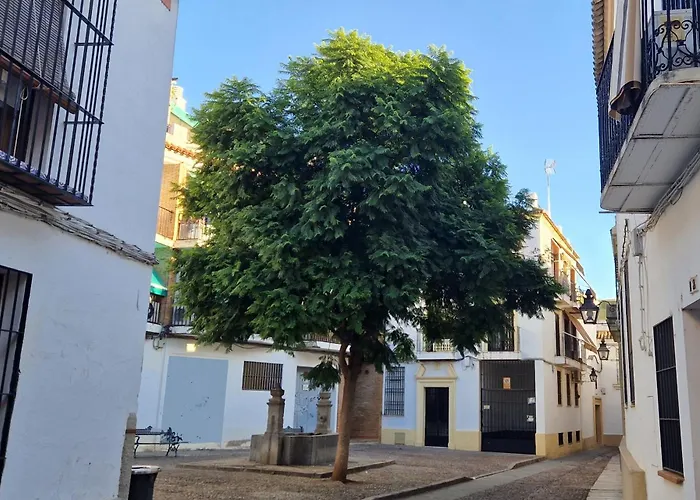 Appartement Terraza De La Axerquia