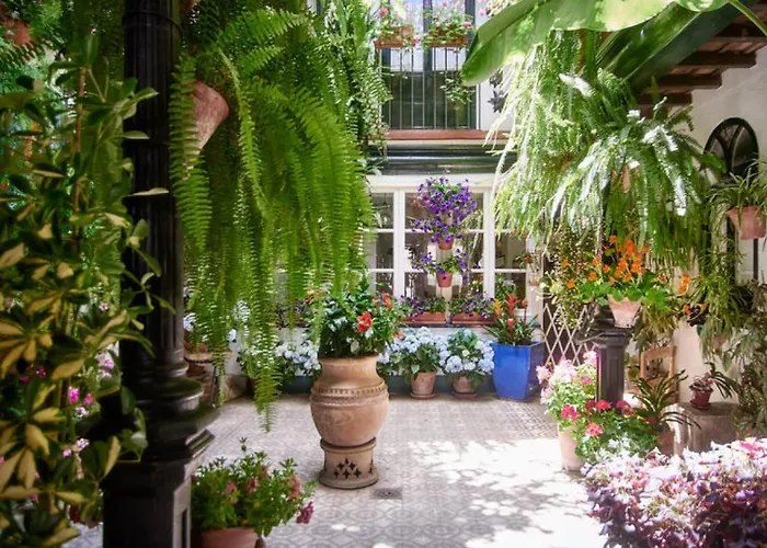 Terraza De La Axerquia Κόρδοβα
